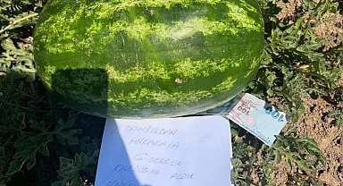 Tarlaya 100 TL ve özür notu bıraktı!