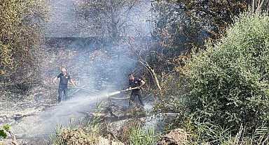 Taşınburnu mevkiindeki orman yangında soğutma çalışmaları sona erdi