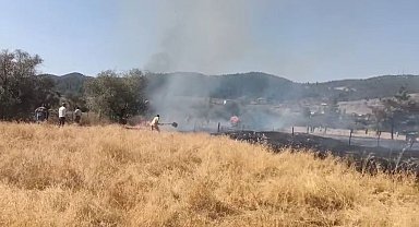 Tavşanlı Balıköy'de çıkan yangın büyümeden söndürüldü