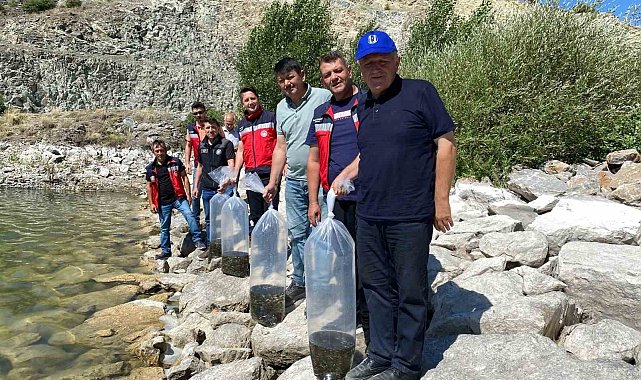 Tavşanlı'da 8 gölete binlerce yavru sazan bırakıldı