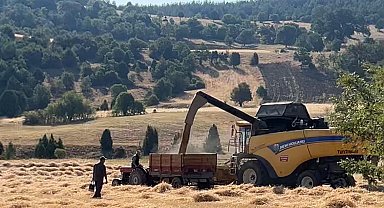 Tavşanlı'da çiftçiler emeklerinin karşılığını almanın heyecanını yaşıyor