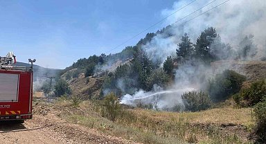 Tavşanlı'da orman yangını erken müdahaleyle söndürüldü