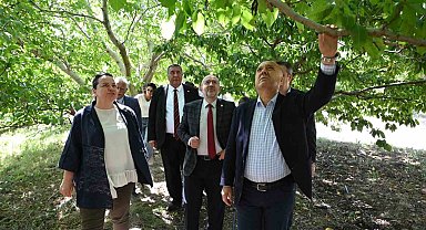 TBMM Zirai Don Araştırma Komisyonu Çivril'de meyve bahçelerini inceledi