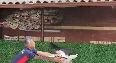 Tek ayaklı leyleği havada yakaladı, itfaiye erinin refleksi leyleğin hayatını kurtardı