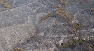 Tekirdağ Şarköy'deki yangın kontrol altında