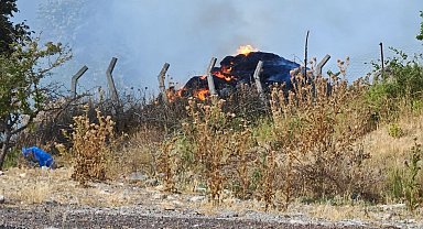 Tekirdağ'da anız yangını ormanlık alana sıçradı