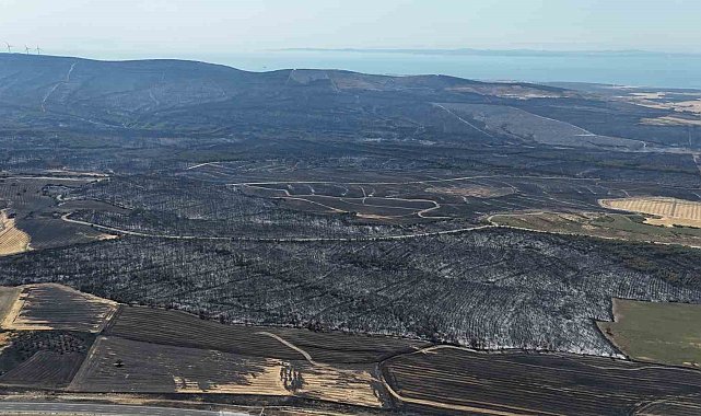 Tekirdağ'da başlayarak Çanakkale'ye ulaşan orman yangınında yanan yerler dron ile görüntülendi