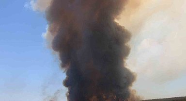 Tekirdağ'da başlayarak Çanakkale'ye ulaşan yangın yeniden alevlendi