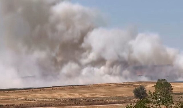 Tekirdağ'da çıkan anız yangını kontrol altına alındı