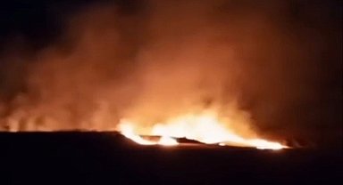 Tekirdağ'da iki mahallede çıkan yangında 20 dönüm buğday tarlası kül oldu