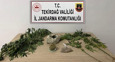 Tekirdağ'da jandarmadan 6 ayrı uyuşturucu operasyonu