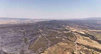 Tekirdağ'da yanan ormanlık alanlar havadan görüntülendi