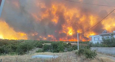 Tekirdağ'daki orman yangını yerleşim alanlarını tehdit ediyor