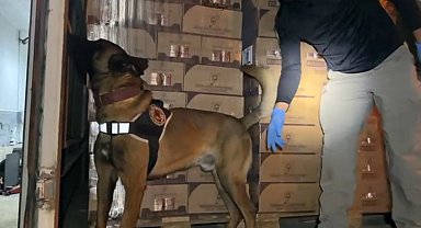 TEM'de durdurulan araçtan 9 kilo kokain ele geçirildi