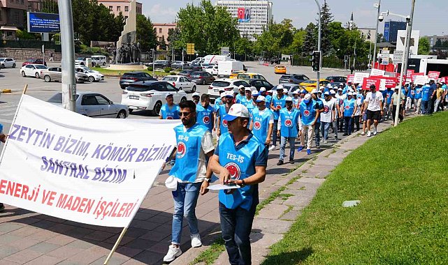 TES-İŞ ve Milaslı muhtarlardan Maden Yasası'na destek