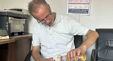 Tescilli ırk olan Çatalburun köpeği bir batında 13 yavru dünyaya getirdi