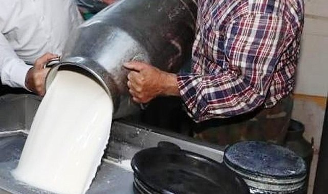 Ticari süt işletmelerince 999 bin 348 ton inek sütü toplandı