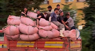 Tıka basa çay dolu kamyonun kasasında tehlikeli yolculuk