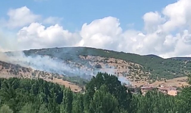 Tokat'taki yangında alevler yerleşim alanına ulaşmadan söndürüldü