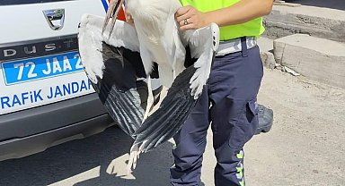 Trafik ekiplerinin radarına yakalanan yaralı leylek tedavi altına alındı
