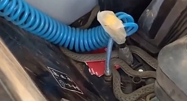 Traktörde yılan paniği