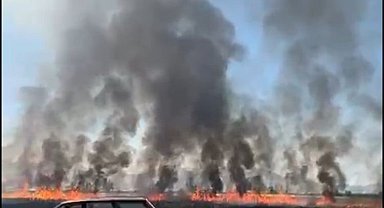 Traktörün kepçesinin elektrik tellerine temas etmesi ile çıkan yangında 50 dönüm arazi yandı