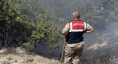 Tunceli'de otluk ve ormanlık alanda yangın