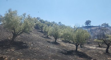 Turgutlu Derbent'teki yangın büyümeden söndürüldü