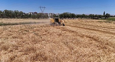 Türkiye'nin tahıl ambarında hasat başladı, çiftçinin yüzü güldü