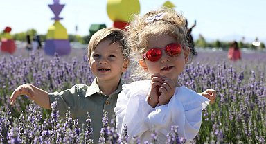 Türkiye'nin en büyük lavanta bahçesinde renk cümbüşü