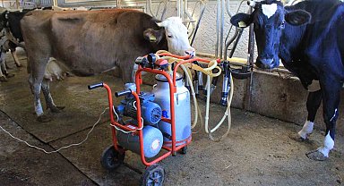 TÜSEDAD, sıcak süt tavsiye fiyatının 21 lira olmasını istedi