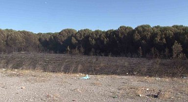 Tuzla'da otluk alanda çıkan yangın ormana sıçramadan söndürüldü