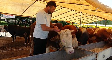 Ülke genelinde tüm hayvan pazarları kapatıldı