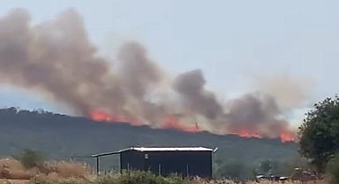 Uluabat Gölü'nden defalarca sorti yaptılar...Bursa'da iki ayrı noktada orman yangını