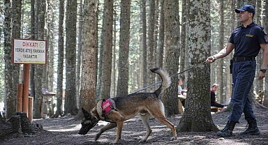 Uludağ'ın ormanlarında jandarmadan 24 saat motorize devriye