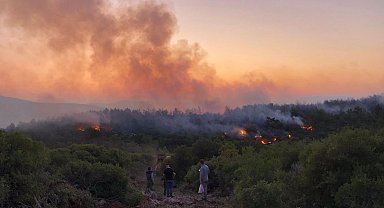 Urla'da yangın kontrol altına alındı