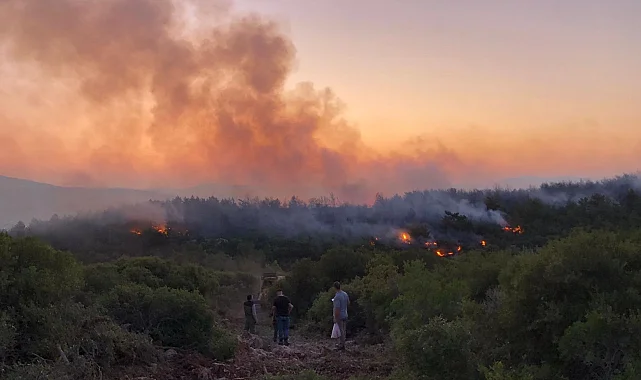 Urla'da yangın kontrol altına alındı