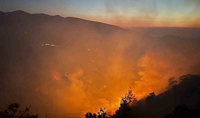 Uşak'ta 21 ev ve 1 çiftlik boşaltıldı