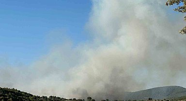 Uşak'ta iki ayrı noktada yangın