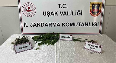 Uşak'ta jandarma ekiplerince uyuşturucu operasyonu