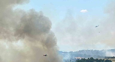 Uşak'ta ormanlık alanda çıkan yangına müdahale devam ediyor