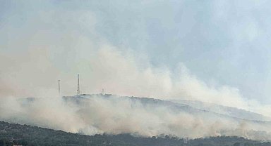 Uşak'ta tarım arazisinde başlayan yangın meşelik alana sıçradı