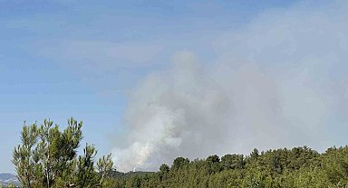 Uşak'ta tarım arazisinde çıkan yangın ormanlık alana sıçradı