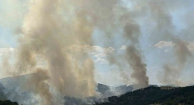 Uşak'taki orman yangınına havadan ve karadan müdahale devam ediyor