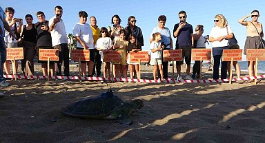 Uydu cihazı takılan kaplumbağa 'Soli' denize bırakıldı