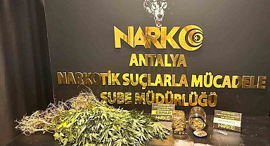 Uyuşturucu operasyonlarında 20 tutuklama