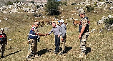 Üzümlü'de 4 gündür kayıp 17 büyükbaş hayvanı jandarma buldu