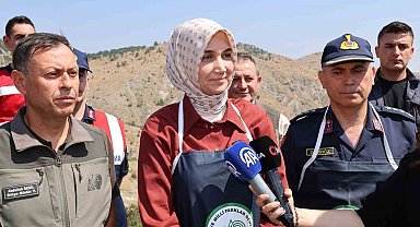 Vali Yiğitbaşı: "Kenelere karşı keklik timi görevde"