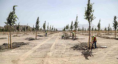 Van Büyükşehir Belediyesi Ihlamur Parkı'yla kente renk katacak