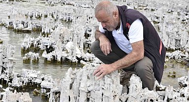 Van Gölü'nde şu ana kadarki en büyük mikrobiyalit görüntülendi